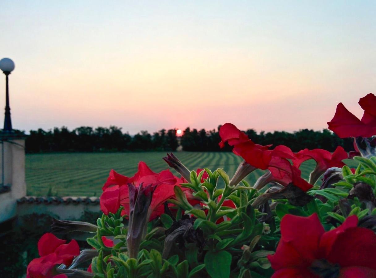 Agriturismo Corte Bebbi Bibbiano  Ngoại thất bức ảnh